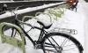 В "Петербургском велосообществе" рассказали о правилах катания в зимой