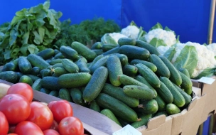 Петербуржцам рассказали, какие овощи лучше выбрать в августе
