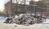 В ответе Шнурову Михаил Пиотровский назвал снег и мусор "обычными бедами города"