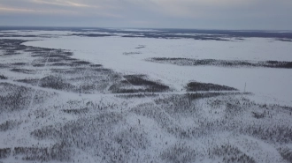 В Ленобласти 28 января будет морозная погода