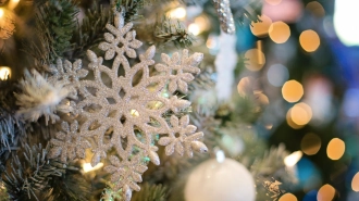 Рождество в Таврическом дворце прошло для детей участников СВО