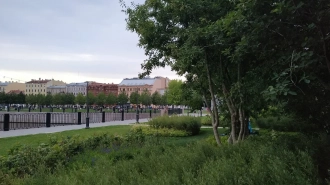 В апреле в Петербурге высадили более 5 тыс. деревьев