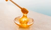 В Петербург привезли более 4 тонн австрийского мёда 