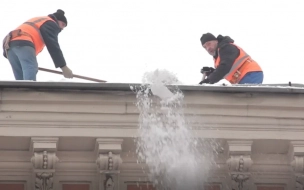После снегопада в Петербурге спрос на дворников вырос на 215%