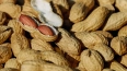 В Петербург привезли 250 тонн арахиса, заражённого ...