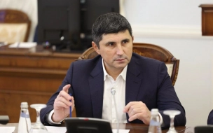 Бывший вице-губернатор Петербурга Сергей Дрегваль стал заместителем гендиректора Интер РАО