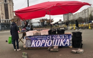 Сезонные точки по продаже корюшки откроются 1 апреля