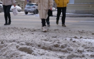 Синоптик пообещал интенсивный снег в Петербурге 6 декабря