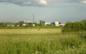 В Гончаровском поселении  Выборгского района подвели итоги за 2020 год