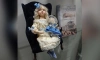 В библиотеке им. Чернышевского на Васильевском острове открылась выставка авторских кукол