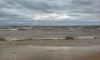 В поселке Пески на берегу Финского залива нашли труп лысой женщины