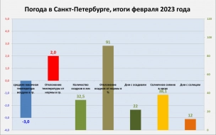 В Петербурге февраль 2023 года был в два раза холоднее прошлогоднего