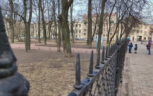 Парки и скверы Петербурга открыли после сильного ветра