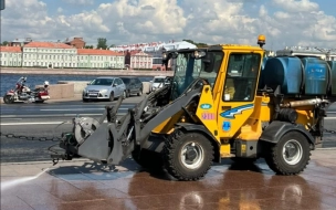 В июньские праздники с петербургских улиц собрали 600 кубометров мусора