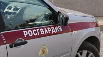 Росгвардейцы задержали двух похитителей дорогого смартфона в Петербурге