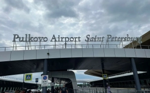 Пулково обслужил более 11 тысяч пассажиров на рейсах между Петербургом и Белградом