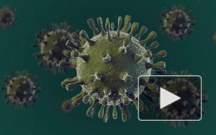 Под Воронежем госпитализировали пять человек с подозрением на COVID-19