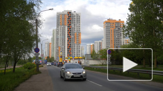 Жители Купчино недовольны возможным расширением Южного шоссе за счет парка Интернационалистов