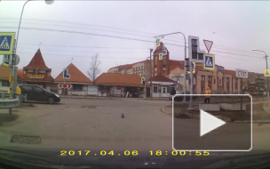 Водитель автобуса спас жителей Ивангорода.