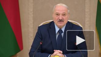 Лукашенко призвал "не париться" и вспомнить о Питере