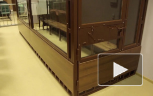 Раскаявшегося грабителя, нападавшего на женщин, отправили в тюрьму на 6 лет