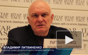 Литвиненко защищает журналистов