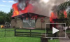 Видео из Флориды: На ранчо сгорели заживо более 300 экзотических животных
