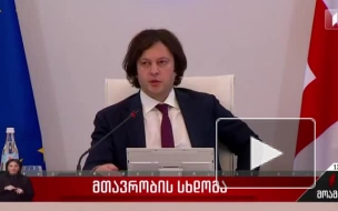 Премьер Грузии заявил, что оппозиция приносит в жертву молодежь на акциях протеста