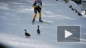 Норвежка Тура Бергер выиграла золотую медаль в масс-старте на чемпионате мира по битлону