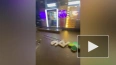 Возле ТРК "Норд" вывеска упала на петербурженку