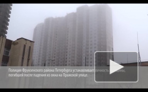 Петербуржцев напугал труп разбившейся женщины с изуродованным от падения лицом