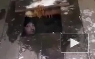 В Чите пьяный водитель сиганул от полицейских в деревенский туалет