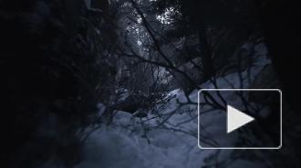 Capcom показала трейлер к игре Resident Evil 8: Village