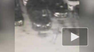 Момент поджога 13 автомобилей в Кургане попал на видео