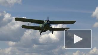 В Бурятии в поисках Ан-2 обследовали около тысячи квадратных километров