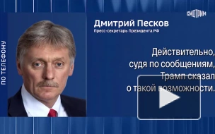 Песков заявил об отсутствии договоренностей по разговору Путина и Трампа