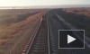 Бегущий по рельсам верблюд задержал поезд на 2 часа в Астраханской области