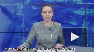 Насекомое ворвалось в студию российского канала и прервало эфир