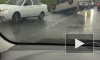 Появилось видео перевертыша по дороге в Калище 