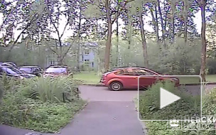 В Петербурге женщина сама занялась расследованием повреждения машины