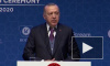 Эрдоган предложил Путину оставить Турцию "один на один" с Сирией