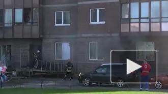 На Лыжном переулке в подсобном помещении загорелся "Дикси"