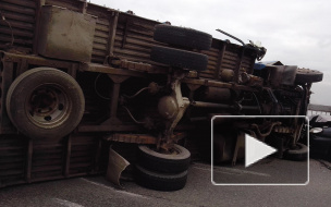 Рыбный день у жителей Фрунзенского района: у съезда с КАД перевернулся грузовик с рыбой