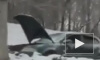 Видео массового ДТП: спуск в Нижнем Новгороде не поделили 10 машин
