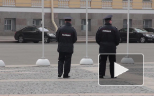 "Замурованный" на КАД скелет оказался трупом бомжа, застрявшего в балке