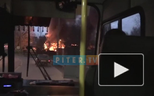 После пожара на шиномонтаже в Девяткино нашли труп четвертого человека 