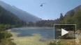 Вертолеты помогают тушить лесной пожар в Тебердинском ...