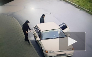 Петербургские полицейские за несколько часов нашли злоумышленников, похитивших человека