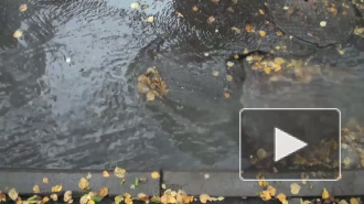 Прорыв трубы с горячей водой на Народной