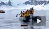 В Антарктиде пингвин спасся от косатки, запрыгнув к туристам в лодку